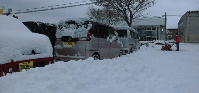 今年は大雪の予感！　連日の雪かきが大変です！